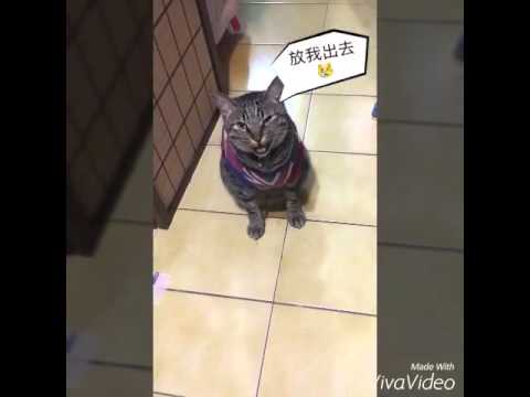 "Verna Pretty&healthy愛美客"可愛的肥多-你最愛漂亮媽媽了😽😽😽