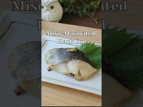 Miso-Maritated Black Cod#japaneserecipe#fishrecipe #bentobox