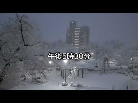 午前中から降り始めた雪は夜まで降り続き大雪になりそうな予感