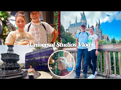 Vlog | Universal Studios, Christmas Decor, Harry Potter, Butterbeer & Toothsome Emporium