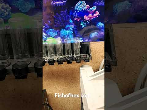 The best way to dry your Hanna vials