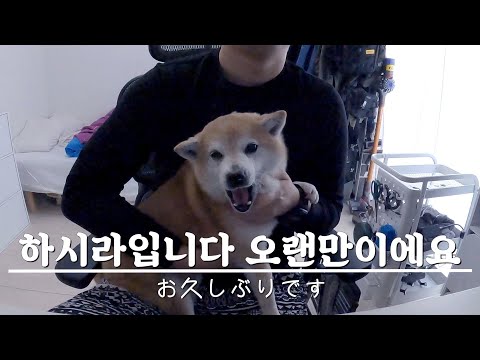 도쿄 직장인 하시라 I 오랜만이에요