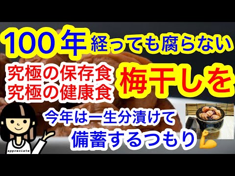 【長期保存備蓄】梅干しは１００年以上保存可能！そして超健康食！今年の内に梅干を作っておきましょう！梅ジャムもね！