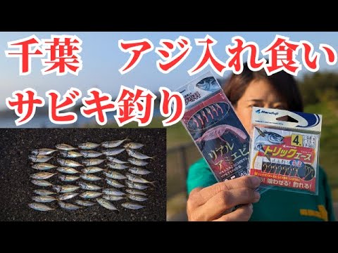 堤防からアジが無限に入れ食い！初心者・子供でもサビキで簡単にアジが釣れます！　#アジサビキ　#サビキ釣り　#千葉釣り　#堤防釣り　#内房釣り　＃アジ釣り