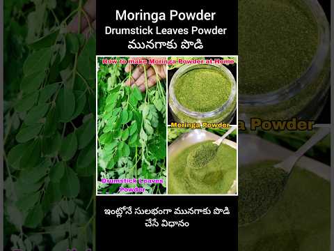 how to make moringa powder at home 🤔 #drumsticks #moringa #shorts #viral #short #youtubeshorts #yt