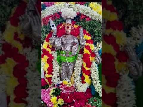 திருச்செந்தூர் முருகனுக்கு அரோகரா