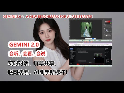 Gemini 2.0实测：实时对话、屏幕共享、联网搜索，AI助手新标杆|Gemini 2.0 - A New Benchmark for AI Assistants