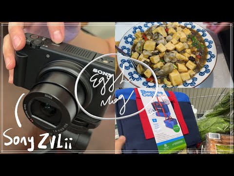 ［VLOG］Costco採購補冰箱食材整理．終於買了相機Sony ZV-1 II．好吃食譜下飯的”鹹“ 豆豉鮮蚵\蔥薑爆雞腿