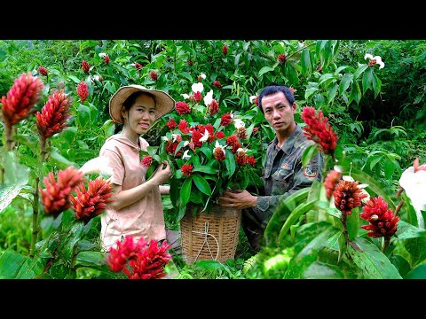 Harvesting Herbal flowers Goes to market sell | My husband and I always work together  Mai Nha Tranh