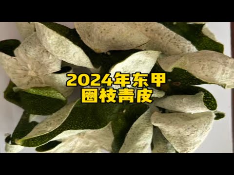 2024年东甲圈枝青皮，还有少量货，果香味浓回甘不苦