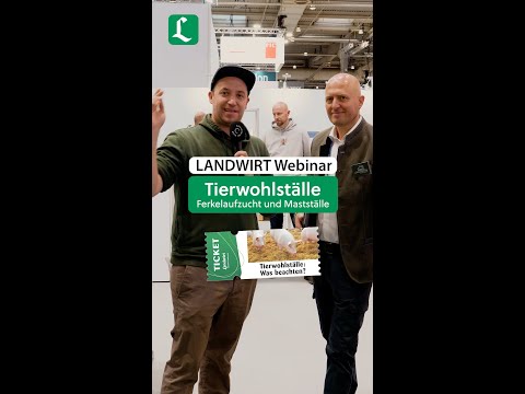 Wie können wir die Bedürfnisse von Schweinen im Stallbau umsetzen? | #shorts