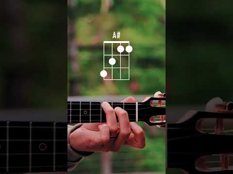 How To Play "A#" Ukulele Chord // Beginner Ukulele Chord Series #3