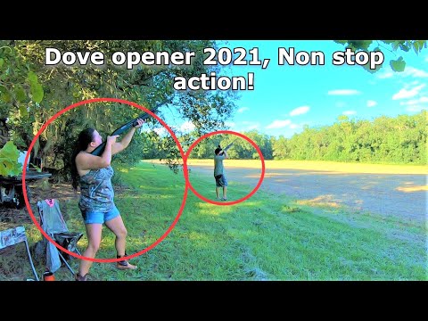 Dove opener 2021! Non stop action! Dove hunting!