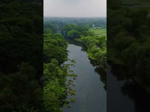 Rivers of Bangladesh Drone View #shorts #dji #mini2 #bangla #bangladeshi #cinematicvideo