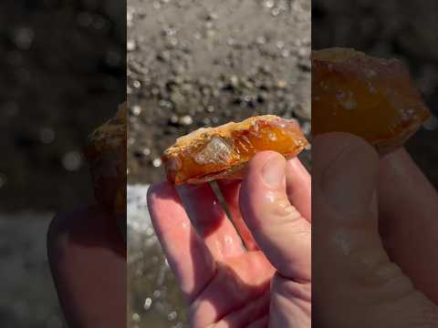 #Rockhounding the Columbia River #agates #jasper #carnelian