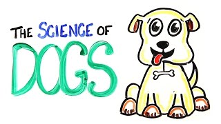 The Science of DOGS