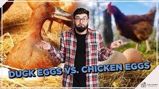 Duck Eggs vs. Chicken Eggs: Which is Better?