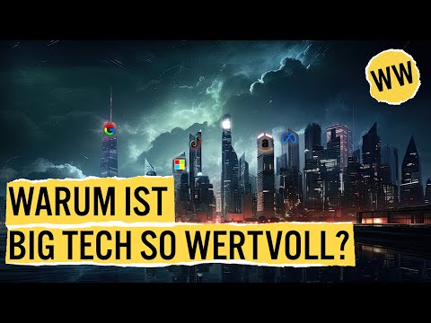 Leben wir im Zeitalter der Megakonzerne? | WirtschaftsWissen