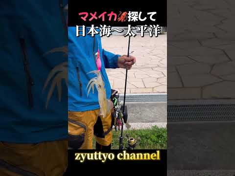 マメイカ！日本海～太平洋！YouTuberが集まる公園！#北海道釣り#shorts #fishing #マメイカ#釣りTuber