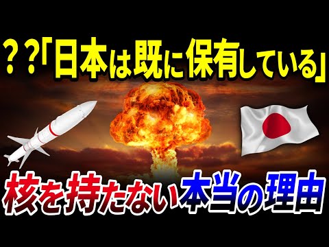 【ゆっくり解説】被爆国とて議論は必要…日本が「核」を持たない本当の理由とは？を解説