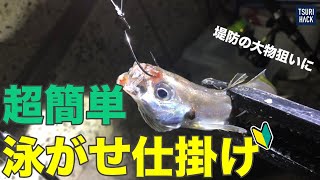 堤防の大物を釣る方法“簡単泳がせ仕掛け”の紹介中、想定外の獲物が釣れてしまいました。