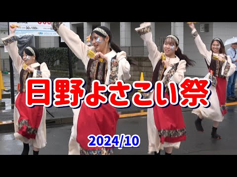 4K 実践女子大WING【ひのよさこい祭】2024年　東京の日野で雨の中、第21回日野よさこい祭の実践女子大YOSAKOIソーラン部WINGの演舞。豊田南演舞場１回目