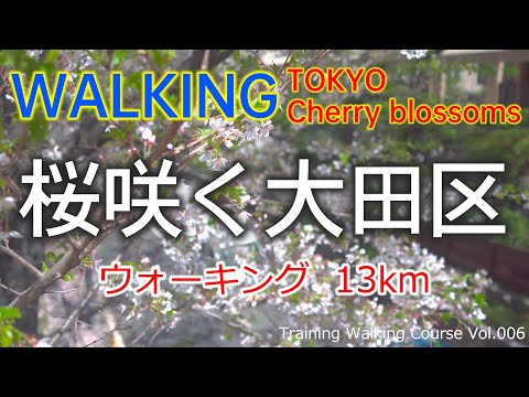 東京 桜咲く大田区 ウォーキング [多摩川台公園][桜坂] TOKYO OTA SAKURA WALKING (🇯🇵 JAPAN) | JAPAN Walking Tour vol.006