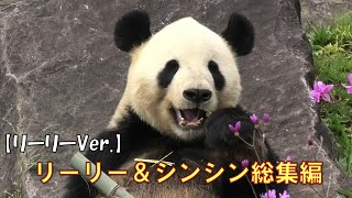 【リーリー編】ありがとうリーリーとシンシン総集編giantpanda @tokyo 上野動物園