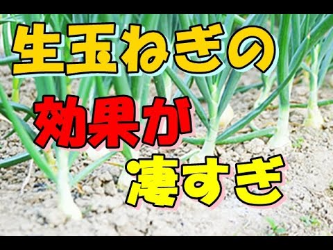 シミやしわの予防食材　玉ねぎの効能を解説