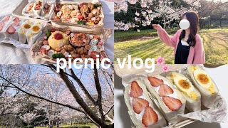 【お花見vlog】お弁当を作ってお花見する休日🌸🧺 | 簡単可愛いお弁当作り🍙