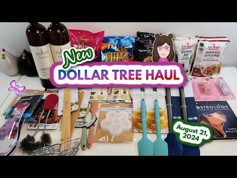 Awesome Dollar Tree Haul! Amazing New Finds!! Everything was $1.25! August 21, 2024