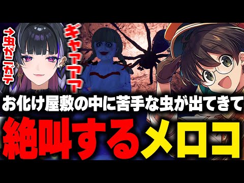 【VCRGTA】遊園地にある割と怖いお化け屋敷の中にいたクモを見て絶叫する狂蘭メロコ【ライト へしこ 天月 日向まる 石神のぞみ 八雲べに ズズ】