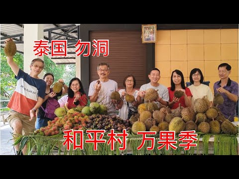 K192集: 泰国勿洞 和平村万果季# 金枕头榴莲# 壁画# 街边美食Betong Durian Festival