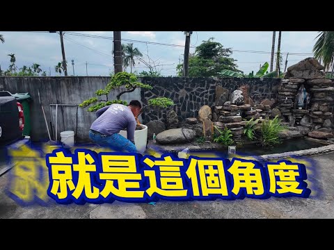 特色月亮盆｜細節控必收#台灣銘園 #台灣銘園園藝事業有限公司 #景觀設計