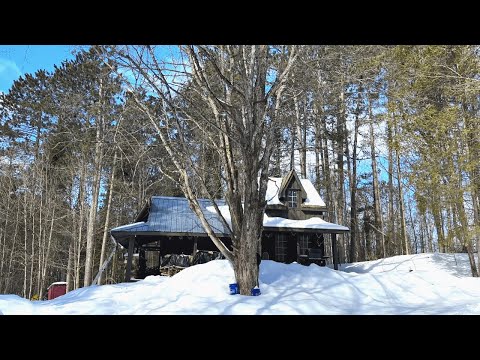 Day Trip To the Off Grid Cabin | Canadian Winter ❄️