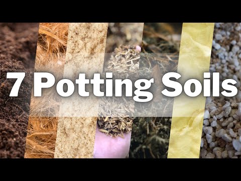 7 Different Potting Soils You Can Use! Mold & Gnats FREE Options