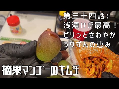 【第三十四話】普通の物は苦くて食べれないのに！？ 〜 摘果マンゴーのキムチ 〜