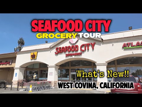 Seafood City Shopping Experience: A Filipino Grocery Tour