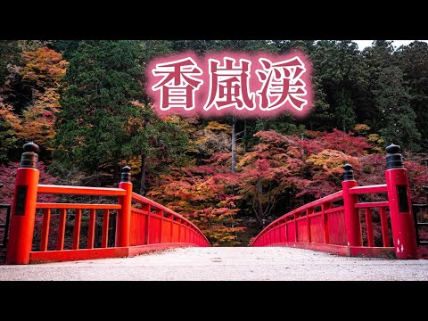 【東海地方ナンバー１の紅葉スポット】香嵐渓（こうらんけい）　｜愛知県｜豊田市｜愛知県の紅葉スポット｜2024.12.7｜