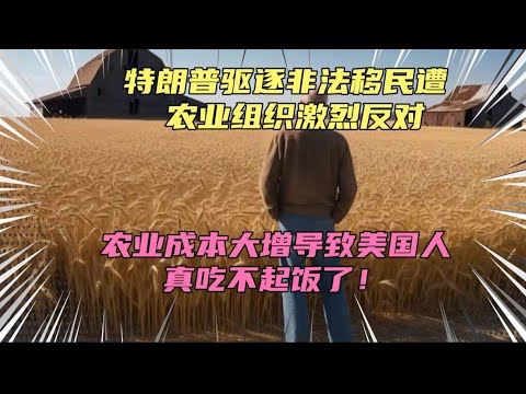 特朗普驱逐非法移民遭激烈反对！成本导致美国粮价和房价将大涨，这下吃不起饭了！懂王基本盘哭晕在厕所！