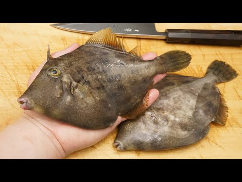 カワハギの煮付け用のさばき方と下処理に煮魚の簡単な煮汁の作り方