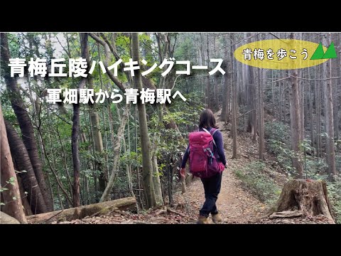 【青梅を歩こう】青梅丘陵ハイキングコースに行ってきました！～軍畑駅から青梅駅へ～