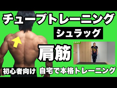 【肩】ゴツく見える筋肉、肩こり解消に！初心者向けチューブトレーニング