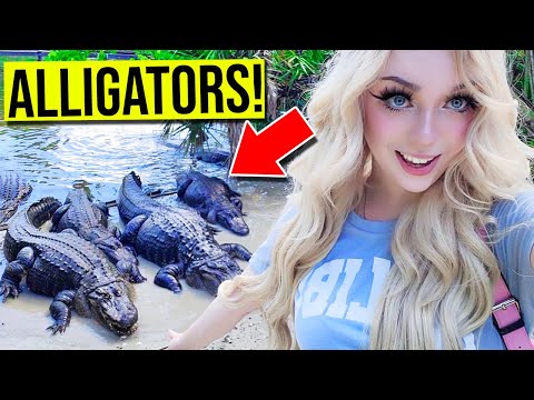 FEEDING HUGE ALLIGATORS AT GATORLAND!! (*SO MANY ALLIGATORS!*)