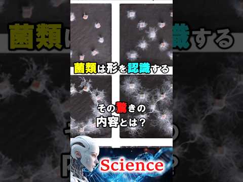 【科学】菌類の謎を発見！　#科学 #不思議  #サイエンス