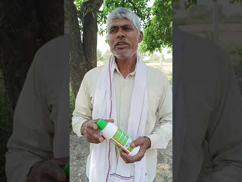 087 Farmer from Kanpur Nagar | | Uttar Pradesh | Nano Urea Testimonial