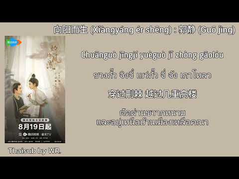 [THAISUB/PINYIN+คำอ่าน] 向阳而生 : 郭静 OST. ขุนนางหญิงยอดเสน่หา The Legend of Zhuohua 灼灼风流