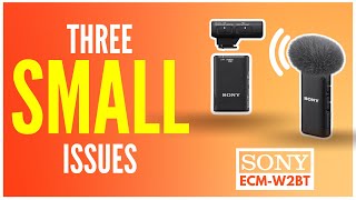 3 Small Issues with Sony Wireless Microphone ECM-W2BT