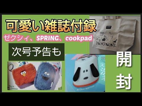 【雑誌付録3冊開封】可愛い付録　SPRING　ゼクシィ　cookpadplus　ポーチ　トートバッグ　洗濯ネット　スヌーピー　セサミストリート　ムーミン