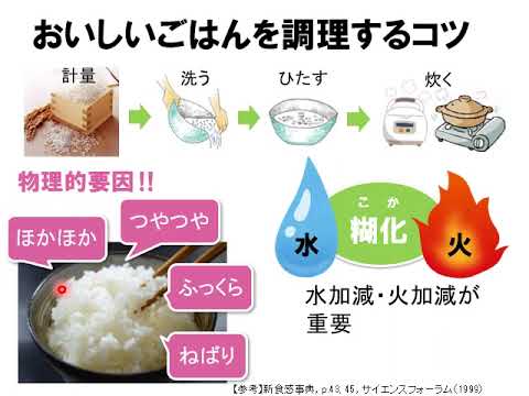 【食品栄養科学部】模擬授業（栄養・江口智美先生） / 静岡県立大学